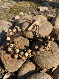 Flora Wood Bead Bracelet, Adjustable Suede Cord, Handcrafted Earthy Jewelry