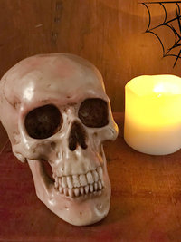 Spooky Human Skull Replica - Halloween Décor