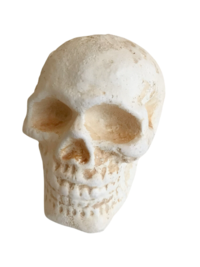 Cast Iron Human Skull Replica