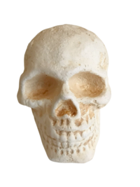 Cast Iron Human Skull Replica