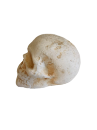 Cast Iron Human Skull Replica