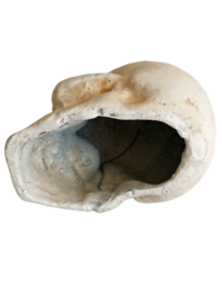 Cast Iron Human Skull Replica