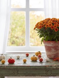 Handcrafted Autumn Pumpkin Wool Felt Garland with Eco-Friendly Dyes Seasonal Mantle Decor