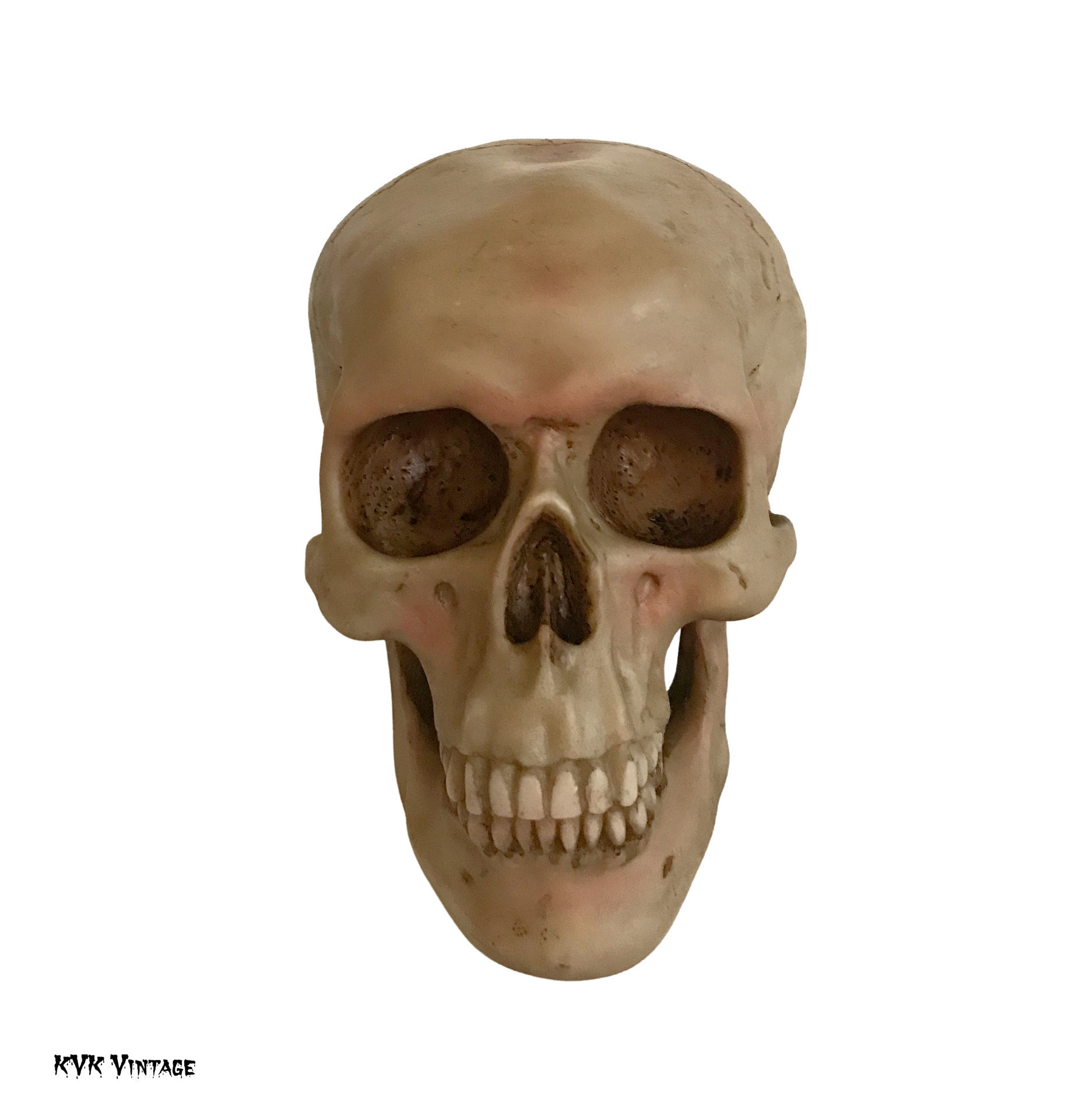 Spooky Human Skull Replica - Halloween Décor