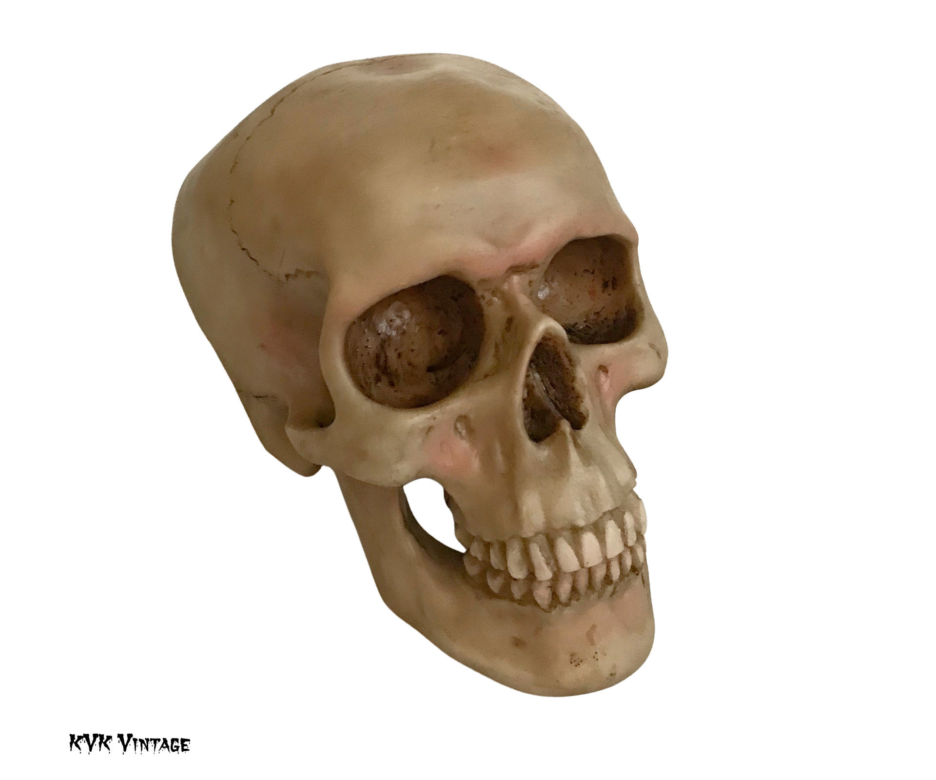 Spooky Human Skull Replica - Halloween Décor