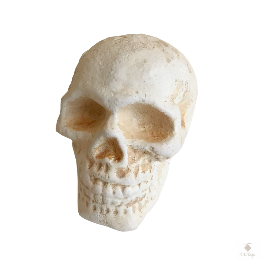 Cast Iron Human Skull Replica