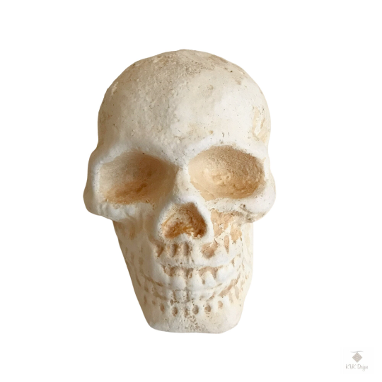 Cast Iron Human Skull Replica