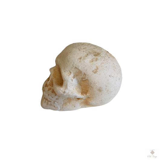Cast Iron Human Skull Replica