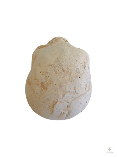 Cast Iron Human Skull Replica