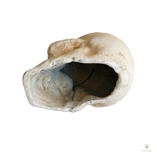 Cast Iron Human Skull Replica